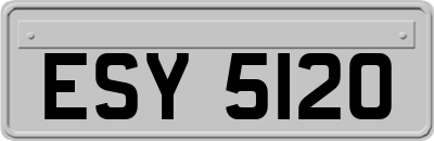 ESY5120
