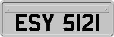 ESY5121