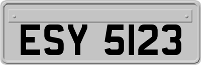 ESY5123