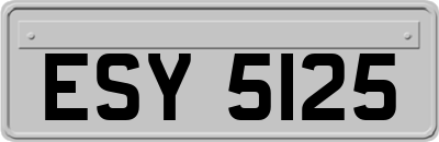 ESY5125