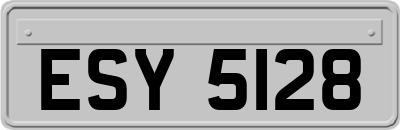 ESY5128