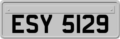ESY5129