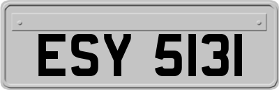 ESY5131