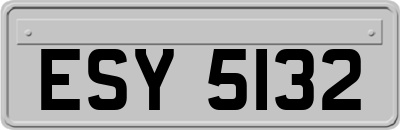 ESY5132