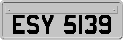 ESY5139