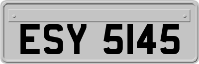ESY5145