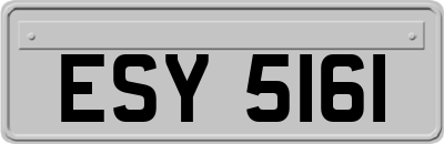 ESY5161