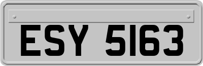 ESY5163