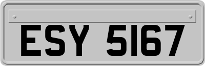 ESY5167