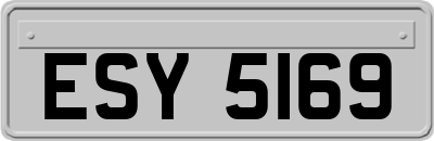 ESY5169