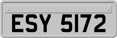 ESY5172