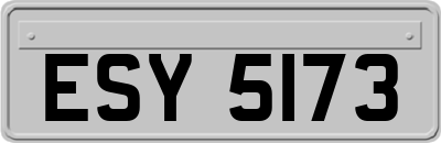 ESY5173
