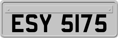 ESY5175