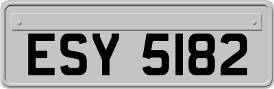 ESY5182