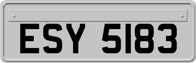 ESY5183