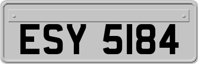 ESY5184
