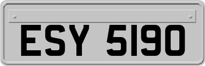 ESY5190