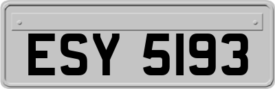 ESY5193
