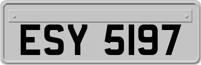 ESY5197