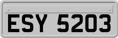 ESY5203