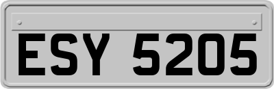 ESY5205