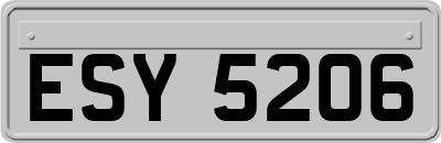 ESY5206