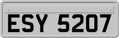 ESY5207