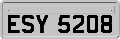 ESY5208
