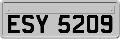 ESY5209