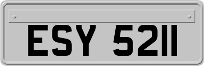 ESY5211