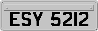 ESY5212
