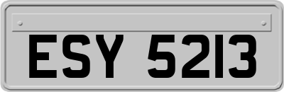 ESY5213