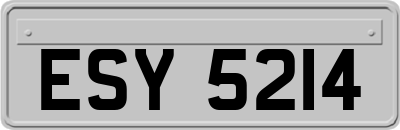 ESY5214