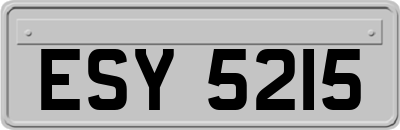 ESY5215