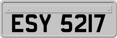 ESY5217