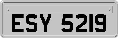 ESY5219