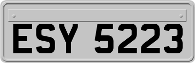 ESY5223