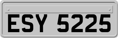 ESY5225