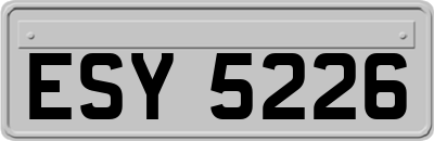 ESY5226