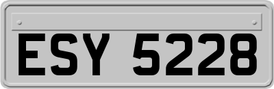 ESY5228