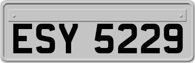 ESY5229