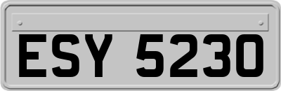 ESY5230