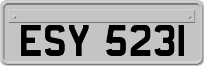 ESY5231