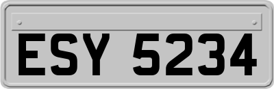 ESY5234