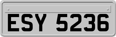 ESY5236