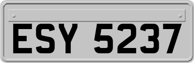 ESY5237