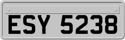 ESY5238