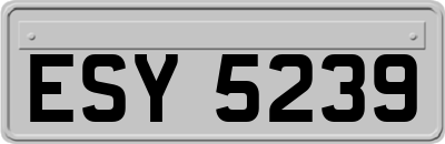 ESY5239
