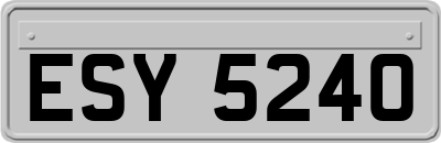 ESY5240