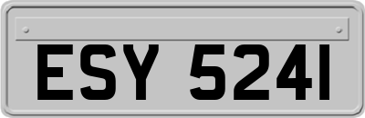 ESY5241